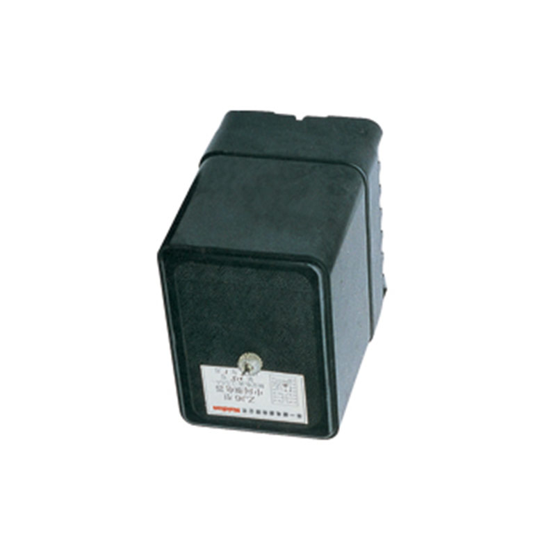 DZS-100系列延時(shí)中間繼電器
